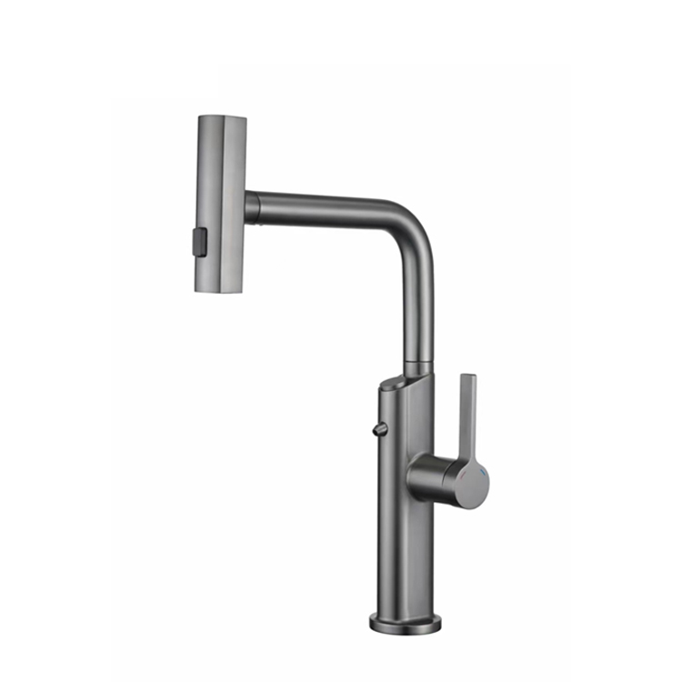Pull Out Filter Kitchen Faucet